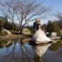tauranga wedding photographers