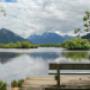 wedding photography tauranga