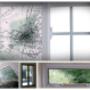 broken glass repairs Auckland