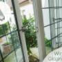 window glazing Auckland