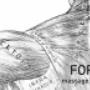 Form Massage Therapy