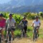 Explore Marlborough Guided Tour