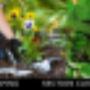 Uploaded by visitor on 24/05/2017