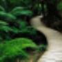Uploaded by visitor on 24/05/2017