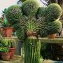 Uploaded by visitor on 24/05/2017