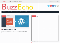 Buzz Echo