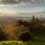 Auckland Mortgage Broker
