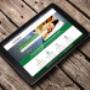 Kiwi Solar Web Site Design East Tamaki