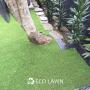 Uploaded by visitor on 24/08/2017