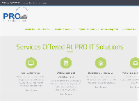 PRO IT Solution Ltd's website
