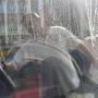 Window Washing