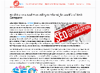 SEO Services In Auckland's website