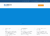BLUELIGHT's website