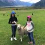 Fun, personal tours