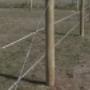 Equine Fences