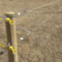 Equine Fences