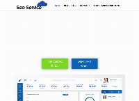 SEO Service's website
