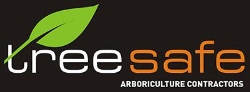 Treesafe's Auckland Tree Services Projects