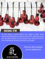 Boxing TPM