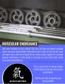 Muscular Endurance