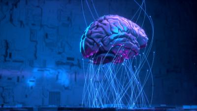 Backed-by-Neuroscience