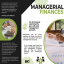 Managerial Finances