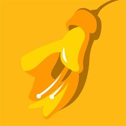 Dental Implants - Kowhai Dental