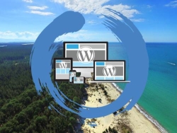 Syndeo - Web Design and Digital Marketing Tauranga