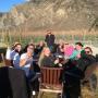 Enjoy iconic Queenstown wines
