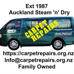 Carpet Repairs