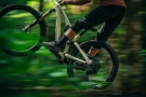 Bike in Bush