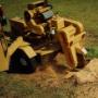 Tree Stump Grinding