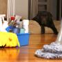 Affordable Clean Team Limited