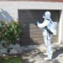 Ajet Pest Control