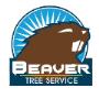 Beaver Tree Services Wellington