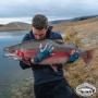 Twizel Canal Experts