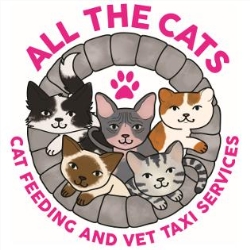 All The Cats