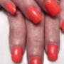 Everlast Nails Tauranga