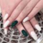 Everlast Nails Tauranga