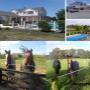 Masterton job