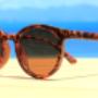 Brown Sunglasses