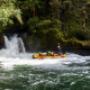 white water rafting rotorua