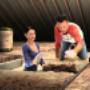 Roof Insulation Waikato