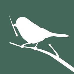 Nest Architectural Design