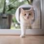 Pet Doors