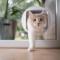 Pet-Doors