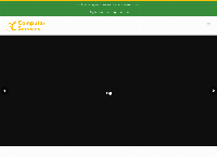 3C Computers & Mobiles's website