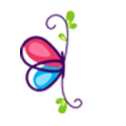Bug Art Picture Framing