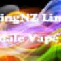 vapingnz