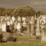 Auckland Funeral Services